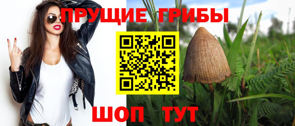 Галлюциногенные грибы Psilocybine cubensis  Галлюциногенные грибы прущие грибы  Вход с VPN  Костомукша 
