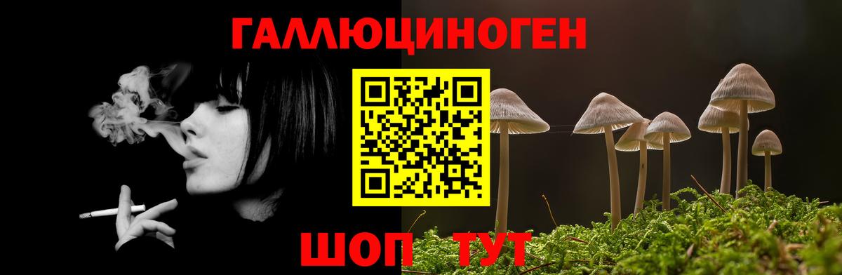 Псилоцибиновые грибы GOLDEN TEACHER Костомукша